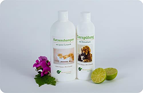 Pflegeset für Katzen | MAXI Sparset mit Shampoo & Pflegespülung | sanfte Fellpflege ohne Chemie & Seife | gegen Juckreiz | hypoallergen | 500 ml & 250 ml | neuer Glanz für Kurz- und Langfell Pflegeset für Katzen | MAXI Sparset mit Shampoo & Pflegespülung | sanfte Fellpflege ohne Chemie & Seife | gegen Juckreiz | hypoallergen | 500 ml & 250 ml | neuer Glanz für Kurz- und Langfell von LT-Naturprodukte