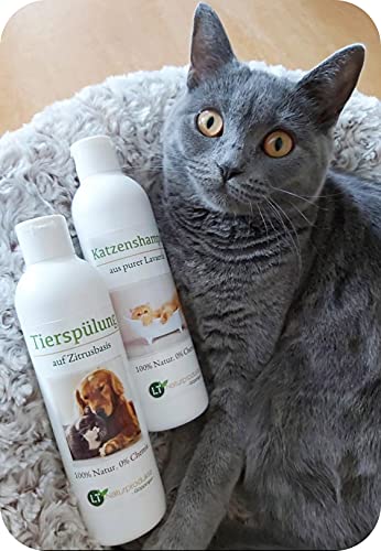 Pflegeset für Katzen | Shampoo & Pflegespülung | sanfte Fellpflege ohne Chemie & Seife | gegen Juckreiz | hypoallergen | mit original marokkanischer Lavaerde | 2x 250 ml | für Kurz- und Langfell Pflegeset für Katzen | Shampoo & Pflegespülung | sanfte Fellpflege ohne Chemie & Seife | gegen Juckreiz | hypoallergen | mit original marokkanischer Lavaerde | 2x 250 ml | für Kurz- und Langfell von LT-Naturprodukte