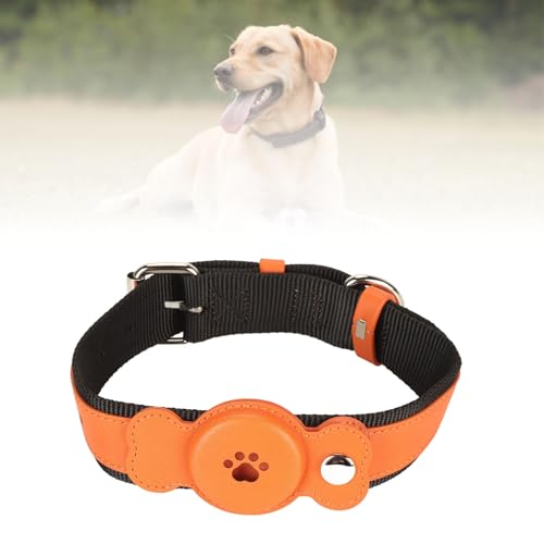 LTSQIN Hundehalsband, Ultraweiches Hundehalsband Hundehalsband aus PU Cloth & Metal,Verstellbare wasserdicht & bequem Hundehalsband mit Schnalle für das Training für Hunde und Katzen (Orange) von LTSQIN