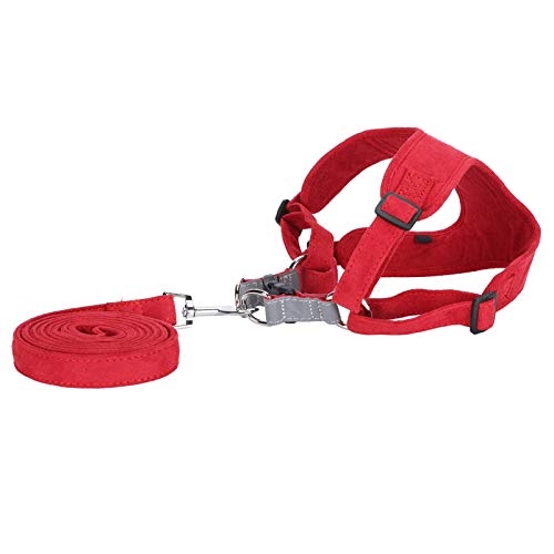 Hundekabelbaum, Hundeleine Hundekabelbaum und Leine Setzen Sie kein Pull -Hundegurthund -Brustgurt Reflektierende Haustierweste -Gurt Zum Gehen, Laufen, Training, Kleine Mittelgroße Große Hunde, (XS) von LUCKDANO