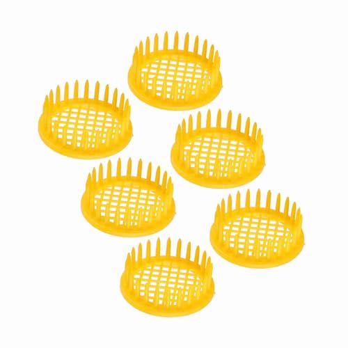 LUCKDANO Bienenaufzugsboxzellen -Bienenzuchtgeräte Stark und Langlebig 6 PCs Set Queen Bee Aufzuchtwerkzeug von LUCKDANO
