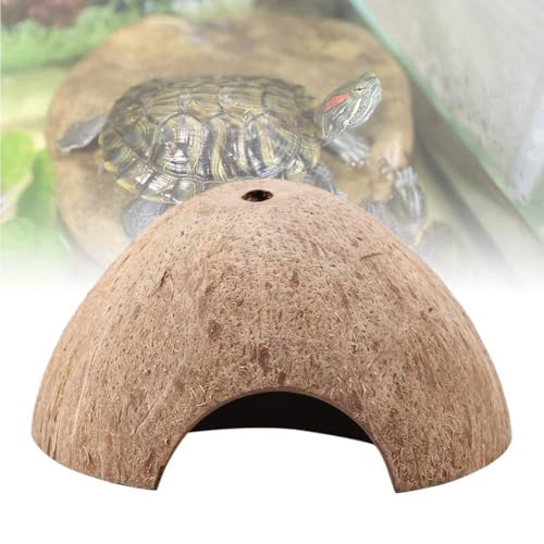 LUCKDANO Spinnenunterkunft, Fischdekorationen Einsiedler Krabben Natürliche Schildkröte Reptil Verstecken Höhlen Aquarium Hellhausdekoration LUCKDANO Spinnenunterkunft, Fischdekorationen Einsiedler Krabben Natürliche Schildkröte Reptil Verstecken Höhlen Aquarium Hellhausdekoration von LUCKDANO