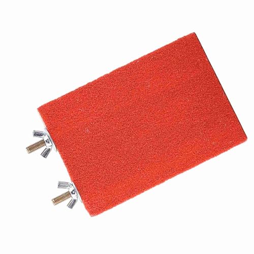 LUCKDANO Vogelperch -Standplattform Spielzeugspielplatz Mahlen Sauberer Haustier Hamster Eichhörnchen Holz Safe Einfache Baugruppe Rot Gelb 9 13 (Rote kurzschneidige Schrauben) von LUCKDANO