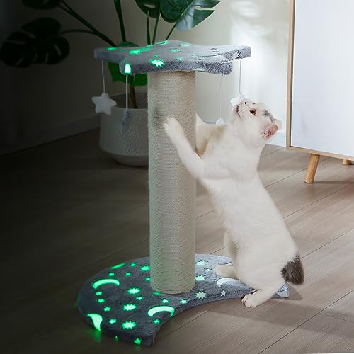 LUCKITTY Katzenkratzbaum mit Sternen-Mond-Design, leuchtet im Dunkeln, 5 Plüschtiere, schützt Ihre Möbel, 40,6 cm breit und 50,8 cm hoch LUCKITTY Katzenkratzbaum mit Sternen-Mond-Design, leuchtet im Dunkeln, 5 Plüschtiere, schützt Ihre Möbel, 40,6 cm breit und 50,8 cm hoch von LUCKITTY