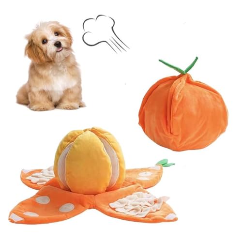 5-in-1 Orange Dog Enrichment Toys, Orange Schnuffelmatte, Welpe Quietschendes Hundespielzeug mit Knitterpapieren, Interaktiver Leckerli-Spender, Hundeschnüffel-Ball, Chewers Kauspielzeug für Hunde von LUCKKY
