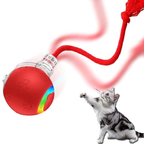 Interactive Rechargeable Ball Cat & Dog Toy, Interaktives Katzenspielzeug Katzenball, Katzenball Elektrisch, Intelligentes Katzenspielzeug mit Schwanz, 360° Smart Automatisch Rollender Ball für Katzen Interactive Rechargeable Ball Cat & Dog Toy, Interaktives Katzenspielzeug Katzenball, Katzenball Elektrisch, Intelligentes Katzenspielzeug mit Schwanz, 360° Smart Automatisch Rollender Ball für Katzen von LUCKKY