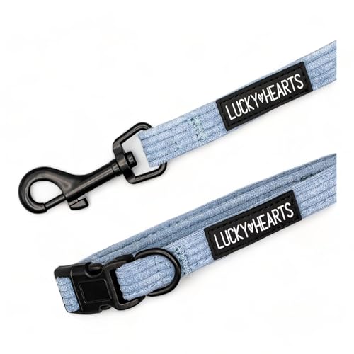 Lucky Hearts Halsband Luke (M, stalhgrau) von LUCKY HEARTS