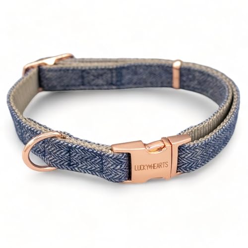 Lucky Hearts Halsband Rosé (XS, blau) von LUCKY HEARTS