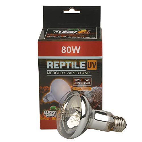 Lucky Herp Reptile UVA UVB Quecksilberdampf-Glühbirne für Reptilien, 80 W, R80, E27 Gewinde, transparent von LUCKY HERP