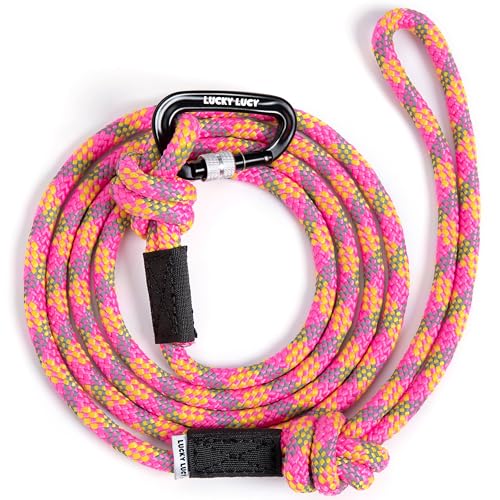 LUCKY LUCY Hundeleine reflektierend, 2m, reißfest aus robustem Polypropylen/Polyester bis 300 kg, mit Aluminium Karabiner für mittel & große Hunde, Leuchtendes Fuchsia LUCKY LUCY Hundeleine reflektierend, 2m, reißfest aus robustem Polypropylen/Polyester bis 300 kg, mit Aluminium Karabiner für mittel & große Hunde, Leuchtendes Fuchsia von LUCKY LUCY