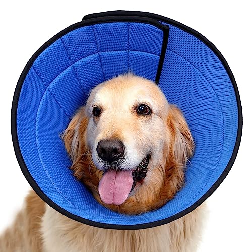 Hundekegel für kleine, mittelgroße und große Hunde und Katzen, weicher Kegel für Hunde nach Operationen, leichtes Leathaire Recovery Cone Halsband gegen Lecken und Kratzen (4 (Hals: 23,5–27,3 cm) von LUCKYPAW