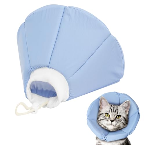 Schwamm-Katzenkegel (L, Blau) von LUCKYPAW