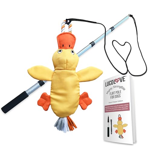 LUCOLOVE Flirtstange für Hunde, strapazierfähig, multisensorisches robustes Jagdspielzeug für mittelgroße und große Rassen, extra stark, 99 cm, für Outdoor-Training und Bewegung LUCOLOVE Flirtstange für Hunde, strapazierfähig, multisensorisches robustes Jagdspielzeug für mittelgroße und große Rassen, extra stark, 99 cm, für Outdoor-Training und Bewegung von LUCOLOVE
