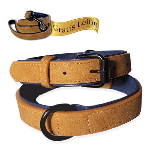 LUCON Hundehalsband Leder braun Halsband für Welpen und kleine Hunde mit einem Halsumfang von 27-37cm Lederhalsband gepolstert mit Metallschnalle von LUCON