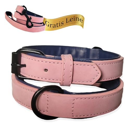 LUCON Hundehalsband mit Leine in rosa im Set Halsband für Welpen kleine und mittelgroße Hunde Lederhalsband gepolstert Leder Hundeleine mit starken Karabiener und Schlaufe von LUCON