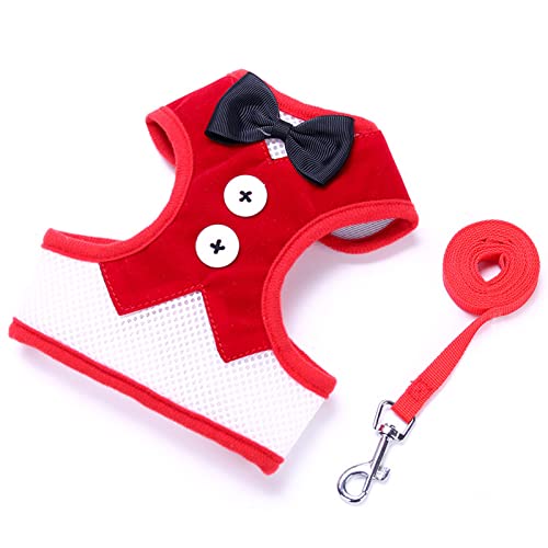 Hundegeschirr mit Leine, kein Würgen, ausbruchsicher, für kleine Hunde, bequemes 122 cm langes Seil zum Spazierengehen Hundegeschirr mit Leine, kein Würgen, ausbruchsicher, für kleine Hunde, bequemes 122 cm langes Seil zum Spazierengehen von LUDAKE