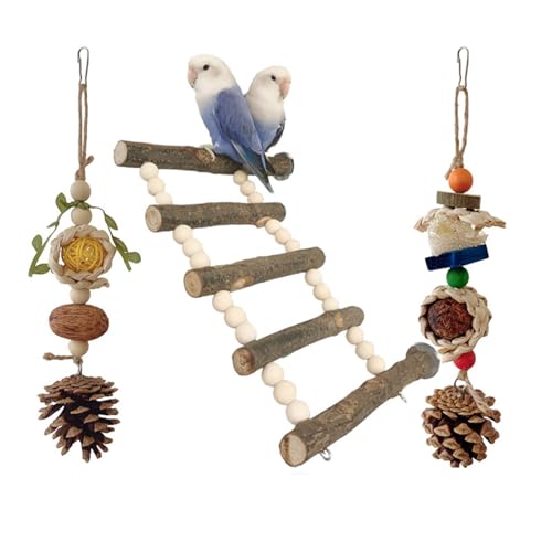 Vogelschaukel, Papageien Käfig Spielzeug, Schaukel Set Leitertraining für kleine Größe Vögel Papageien Spielständer Set Luffa Vogelschaukel, Papageien Käfig Spielzeug, Schaukel Set Leitertraining für kleine Größe Vögel Papageien Spielständer Set Luffa von LUDAKE