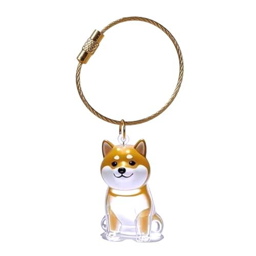 LUJIAXI Gedenkbox für Hundehaare, Schlüsselanhänger mit transparenter Displaybox, Tierhaar-Aufbewahrungsbox für Haustierverlust, Gedenkstätte, klares Gedenkstück LUJIAXI Gedenkbox für Hundehaare, Schlüsselanhänger mit transparenter Displaybox, Tierhaar-Aufbewahrungsbox für Haustierverlust, Gedenkstätte, klares Gedenkstück von LUJIAXI