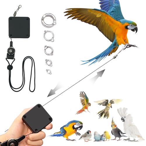 Einziehbare Vogelleine, Papageienfliegeseil, Anti-Biss-Seil, Papageien-Leine, verstellbares Vogel-Leinengeschirr für Training, mit 5 Fußringen aus Legierung, für Wellensittiche, Nymphensittiche Einziehbare Vogelleine, Papageienfliegeseil, Anti-Biss-Seil, Papageien-Leine, verstellbares Vogel-Leinengeschirr für Training, mit 5 Fußringen aus Legierung, für Wellensittiche, Nymphensittiche von LUKHMELF