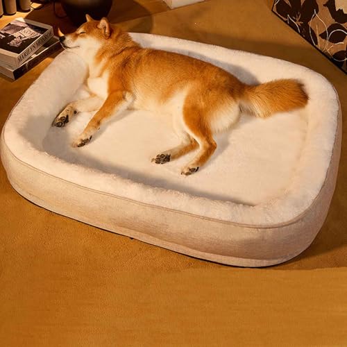 LULUMAIC Mittelhundbett waschbar, superweich gemütlich Hundebetten Haustierbett, Katzensofa -Bett mit Abnehmbarer Abdeckung und Nicht -Schlupfboden für kleine mittelgroße Hunde, Beige, XL LULUMAIC Mittelhundbett waschbar, superweich gemütlich Hundebetten Haustierbett, Katzensofa -Bett mit Abnehmbarer Abdeckung und Nicht -Schlupfboden für kleine mittelgroße Hunde, Beige, XL von LULUMAIC