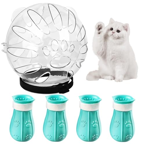LUMINFLY Katzenpflegeset mit transparentem Maulkorb & 4 Pfotenabdeckungen, atmungsaktives Bauchmuskel-Design für einfache und sichere Katzenpflege LUMINFLY Katzenpflegeset mit transparentem Maulkorb & 4 Pfotenabdeckungen, atmungsaktives Bauchmuskel-Design für einfache und sichere Katzenpflege von LUMINFLY