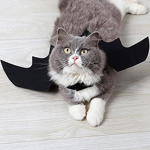 LUNLUN Halloween Haustier Schwarz Cool Fledermaus Flügel Katze Welpen Fledermaus Kostüm (Farbe: Schwarz) von LUNLUN