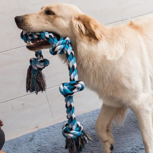 LUNYY 60CM Pets Toys Bite Molar Tooth Seil Hundespielzeug für große Hunde Rottweiler Hundespielzeug Golden Retriever Kauzähne große Spielzeuge LUNYY 60CM Pets Toys Bite Molar Tooth Seil Hundespielzeug für große Hunde Rottweiler Hundespielzeug Golden Retriever Kauzähne große Spielzeuge von LUNYY