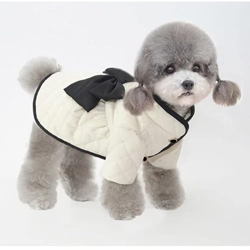 LUNYY Hundebekleidung Winter Pet Jacket Coat York Cat Chihuahua Bekleidung Shih   Pomeranian Small Dog Overcoat Dress Outfit von LUNYY