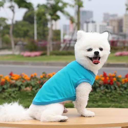LUNYY Sommer-Haustierkleidung für kleine, mittelgroße Hunde, festes Baumwoll-T-Shirt, Hundezubehör, Heimtierbedarf, Katzenweste, Hemden, Haustiere, Outfits, XS-3XL von LUNYY