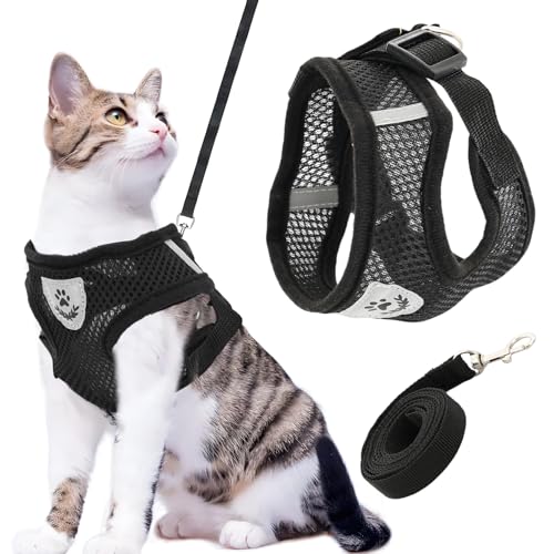 Katzengeschirr und Leine zum Spazierengehen, weiches Netzgewebe, ausbruchsicher, Kätzchengeschirr und Leine, Set für Outdoor-Reisen, Schwarz, Größe S Katzengeschirr und Leine zum Spazierengehen, weiches Netzgewebe, ausbruchsicher, Kätzchengeschirr und Leine, Set für Outdoor-Reisen, Schwarz, Größe S von LUODAKA