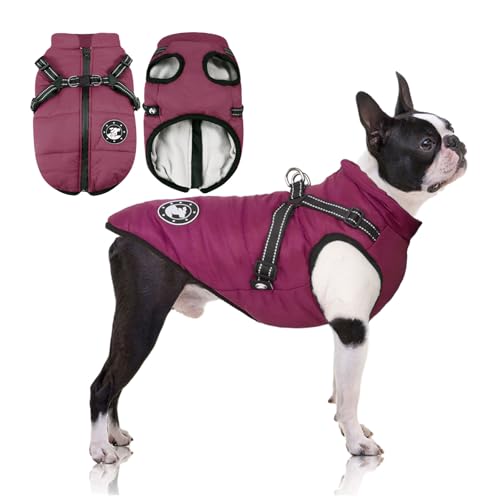 Hundemantel Wasserdicht, Hundemantel Französische Bulldogge, Warme Weste mit Hundegeschirr, Verschiedene Größen,Hundejacke für Kleine Hunde (XS, Purple) von LUOWAN