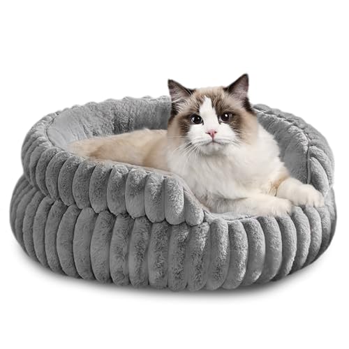 LUPATDY Hundebett, Katzenbetten für Katzen, Weiche Polsterung, Hundebett für kleine und mittelgroße Hunde, rutschfest, Waschbares, 50 x 50 x 15 cm (M) von LUPATDY
