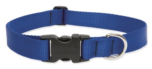 Lupine Pet Basic Solids Hundehalsband, Nylon, verstellbar, Blau von LUPINE INC