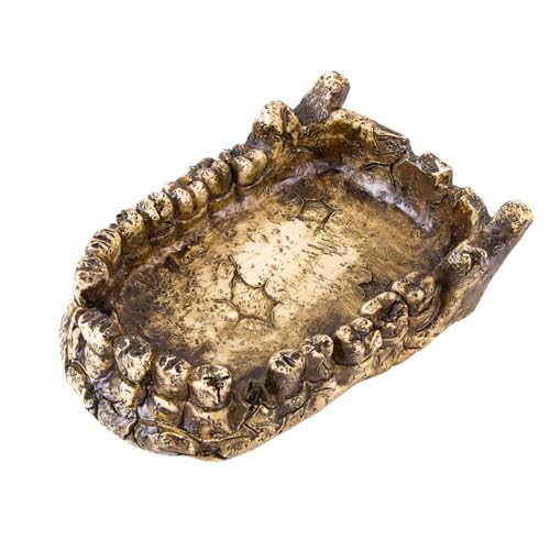 LURMMUE Reptilien Futternapf Ecknapf Harz Wasser & Futterschale für Geckos Eidechsen Schildkröten Frösche Anti-Tip Easy Clean Terrarium Zubehör von LURMMUE