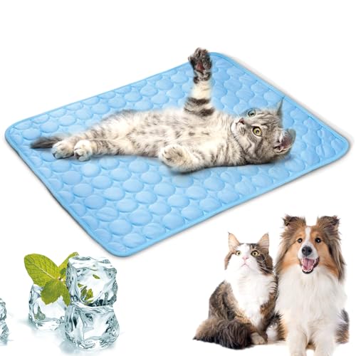 LURNODY Kühlmatte Hunde 40 * 30cm Pet Cooling Mat Selbstkühlende Kühldecke Hund für Katzen und Hunde Selbstkühlende Hundematte Leicht zu Reinigen Perfekt für Auto, Reise und Zuhause （Blau XS） von LURNODY