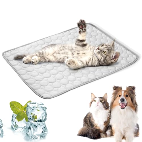 LURNODY Kühlmatte Hunde 40 * 30cm Pet Cooling Mat Selbstkühlende Kühldecke Hund für Katzen und Hunde Selbstkühlende Hundematte Leicht zu Reinigen Perfekt für Auto, Reise und Zuhause （grau XS） von LURNODY