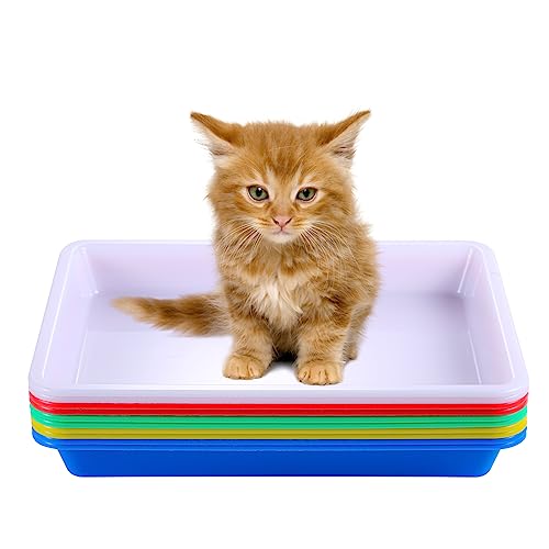 10 Stück Katzentoilette, Katzentoiletten aus Kunststoff Bunte Kätzchentoilette Katzentoilette für Kätzchen im Innenbereich (5 Farben) von LUTER