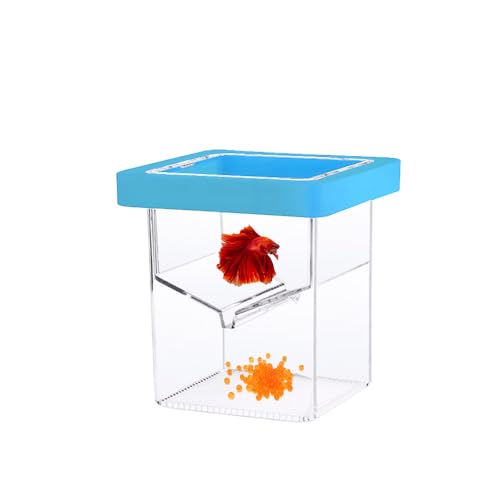 Fischzuchttank, Züchterbox für Aquarien, Isolationszuchtbox mit Schicht-Design, Adsorption und Aufhängung, Blau Fischzuchttank, Züchterbox für Aquarien, Isolationszuchtbox mit Schicht-Design, Adsorption und Aufhängung, Blau von LVPETALIZE