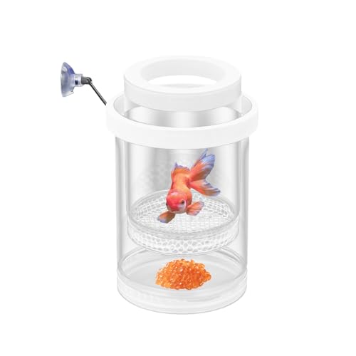 Züchterbox für Aquarium, Fischzüchterbox für schwimmendes Aquarium, Isolationszuchtboxen, Trennwand für Babyfische, Clownfische, Betta-Eier Züchterbox für Aquarium, Fischzüchterbox für schwimmendes Aquarium, Isolationszuchtboxen, Trennwand für Babyfische, Clownfische, Betta-Eier von LVPETALIZE