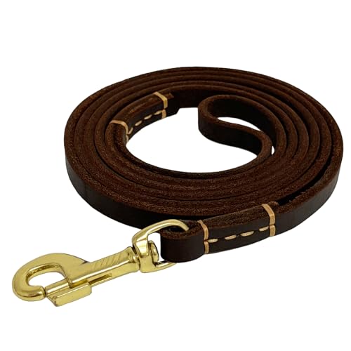 Hundeleine aus Leder, 1,27 x 1,27 cm, geflochtenes Echtleder, für Welpen, kleine und mittelgroße Hunde, Braun von LWBMG