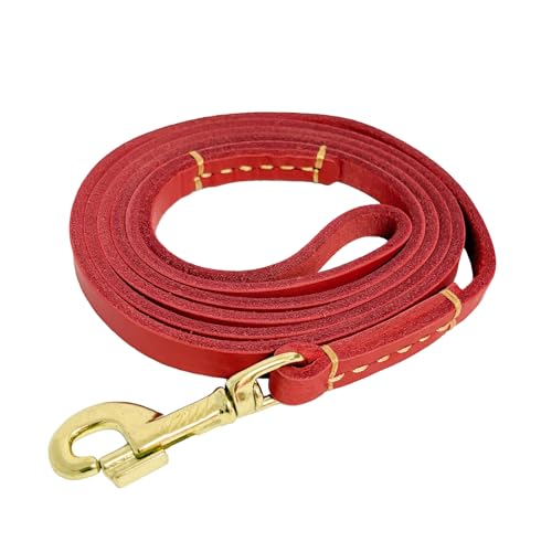 Hundeleine aus Leder, 1,27 x 1,27 cm, geflochtenes Echtleder, für Welpen, kleine und mittelgroße Hunde, Rot von LWBMG