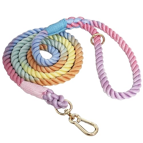 LWBMG 1,5 m Hundeleine, handgefertigt, geflochten, Baumwollseil, Hundeleine für kleine, mittelgroße und große Hunde, bunt, Macaron LWBMG 1,5 m Hundeleine, handgefertigt, geflochten, Baumwollseil, Hundeleine für kleine, mittelgroße und große Hunde, bunt, Macaron von LWBMG