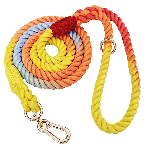 LWBMG 1,5 m Hundeleine, handgefertigt, geflochten, Baumwollseil, Hundeleine für kleine, mittelgroße und große Hunde, bunt, Regenbogen LWBMG 1,5 m Hundeleine, handgefertigt, geflochten, Baumwollseil, Hundeleine für kleine, mittelgroße und große Hunde, bunt, Regenbogen von LWBMG