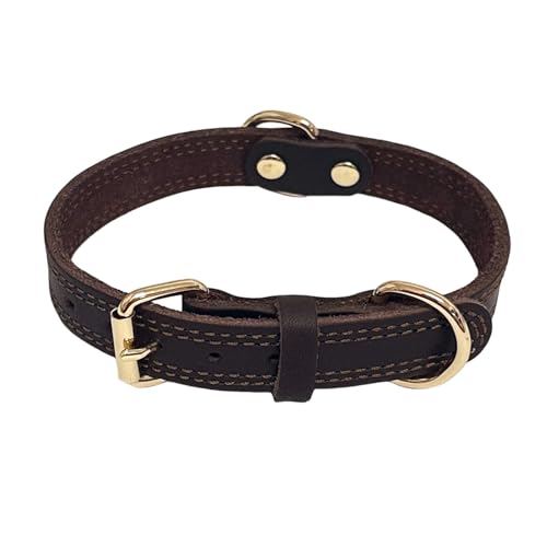 LWBMG Hundehalsband aus Leder, strapazierfähiges Hundehalsband, weiches und starkes Leder, verstellbar, für kleine, mittelgroße Hunde, Braun, Größe M LWBMG Hundehalsband aus Leder, strapazierfähiges Hundehalsband, weiches und starkes Leder, verstellbar, für kleine, mittelgroße Hunde, Braun, Größe M von LWBMG