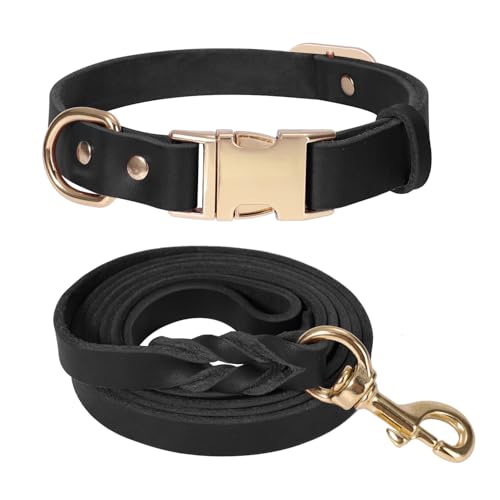 LWBMG Hundehalsband und Leine, Leder, strapazierfähig, mit Metallschnalle, verstellbares Halsband und Leine, weiche Hundeleine und Halsband für kleine, mittelgroße und große Hunde, 152 cm, Schwarz LWBMG Hundehalsband und Leine, Leder, strapazierfähig, mit Metallschnalle, verstellbares Halsband und Leine, weiche Hundeleine und Halsband für kleine, mittelgroße und große Hunde, 152 cm, Schwarz von LWBMG