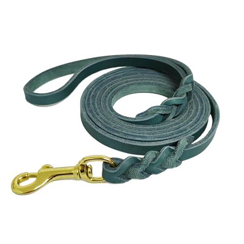 LWBMG Hundeleine aus Leder, 1,8 m, für kleine und mittelgroße Hunde, dünn, geflochten, weich, 1,8 m x 1,8 m, Blau LWBMG Hundeleine aus Leder, 1,8 m, für kleine und mittelgroße Hunde, dünn, geflochten, weich, 1,8 m x 1,8 m, Blau von LWBMG