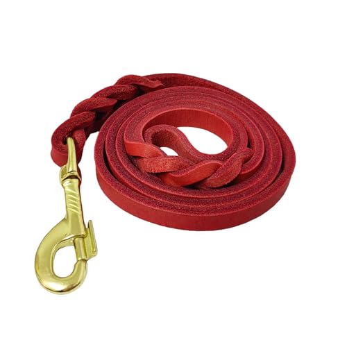 LWBMG Hundeleine aus Leder, geflochten, Bequeme Trainingsleine für kleine und mittelgroße Hunde, 1,2 m x 1,2 cm, Rot LWBMG Hundeleine aus Leder, geflochten, Bequeme Trainingsleine für kleine und mittelgroße Hunde, 1,2 m x 1,2 cm, Rot von LWBMG