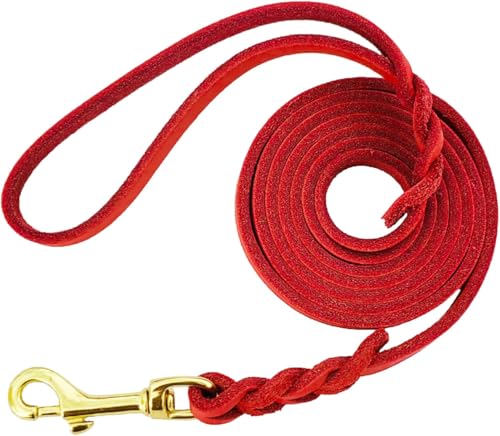 LWBMG Hundeleine aus Leder, robust, geflochten, bequeme Leine für große, mittelgroße und kleine Hunde, 1,8 m x 1,27 cm, Rot LWBMG Hundeleine aus Leder, robust, geflochten, bequeme Leine für große, mittelgroße und kleine Hunde, 1,8 m x 1,27 cm, Rot von LWBMG