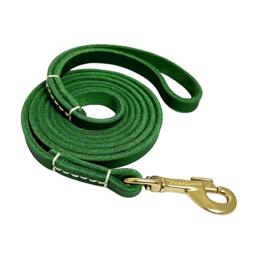 LWBMG Hundeleine aus Leder für kleine Hunde, 1,8 m, robuste Haustierleine, weiches Echtleder, Leine für kleine und mittelgroße Hunde (1,27 cm x 1,8 m, Grün) von LWBMG