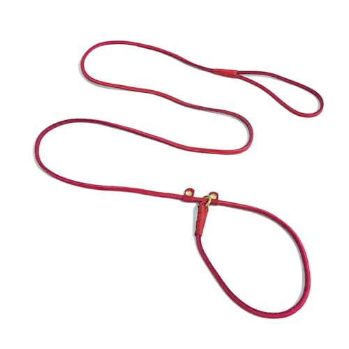 LWBMG Retrieverleine aus echtem Leder, verstellbare Hundetrainingsleine, weiches Echtleder für kleine Hunde, 1,7 m x 0,6 cm, Rot von LWBMG